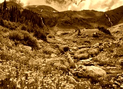 Sepia