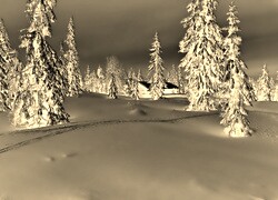 Sepia + Negatyw