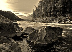 Szary + Sepia