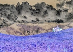 Negatyw