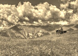Sepia