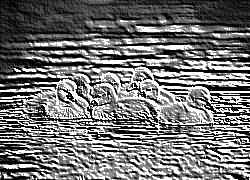 Skamielina