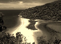 Szary + Sepia
