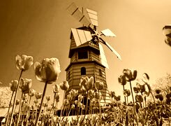 Sepia