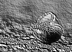Skamielina