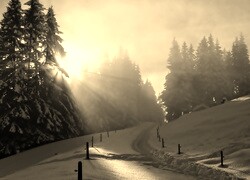 Szary + Sepia