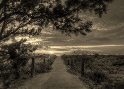 Sepia