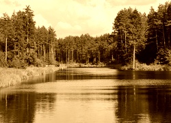 Sepia