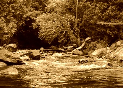 Sepia