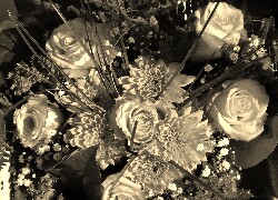 Szary + Sepia