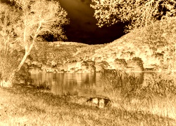 Sepia + Negatyw