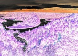 Negatyw