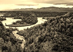 Szary + Sepia