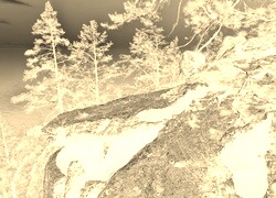 Sepia + Negatyw