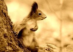 Sepia