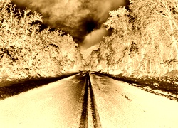 Sepia + Negatyw