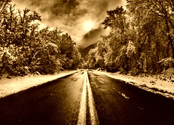 Sepia
