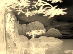 Sepia + Negatyw