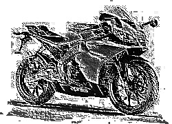 Skamielina