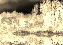 Sepia + Negatyw