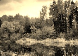 Szary + Sepia