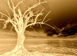 Sepia + Negatyw