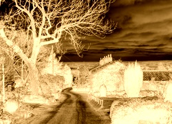 Sepia + Negatyw