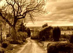 Sepia