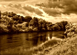 Sepia