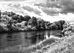 Szary + Sepia