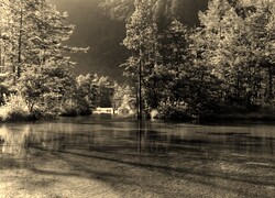 Szary + Sepia