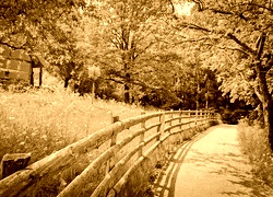 Sepia