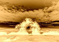 Sepia + Negatyw