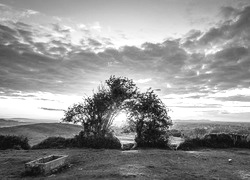 Szary + Sepia