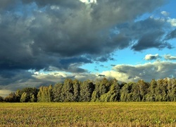 Oryginalny obrazek