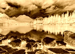 Sepia + Negatyw