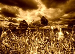 Sepia