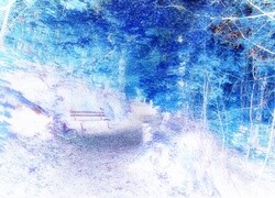 Negatyw