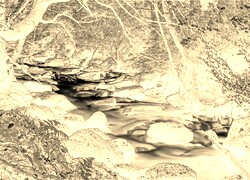 Sepia + Negatyw