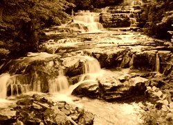 Sepia