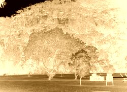 Sepia + Negatyw