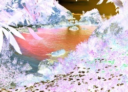 Negatyw