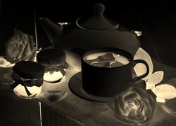 Sepia + Negatyw