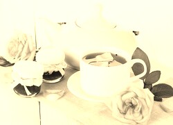 Szary + Sepia