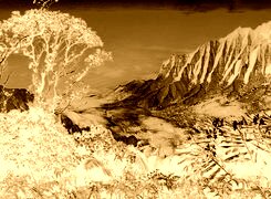 Sepia + Negatyw
