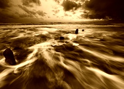 Sepia