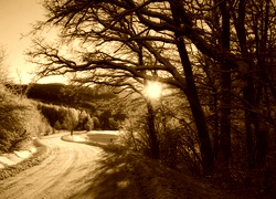 Sepia