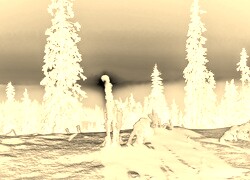Sepia + Negatyw
