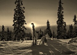 Szary + Sepia