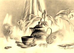 Sepia + Negatyw